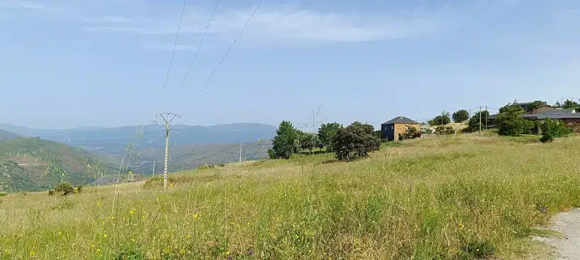 Pradera antes del desbroce