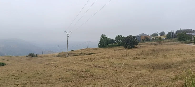 Pradera después del desbroce
