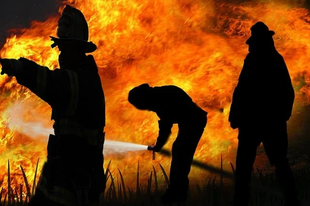 Bomberos forestales apagando un fuego en el monte