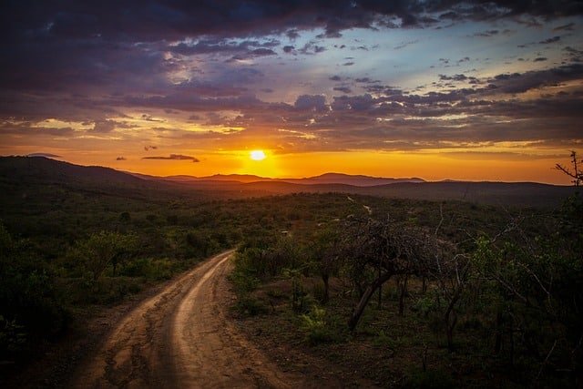 Pista forestal con atardecer de fondo